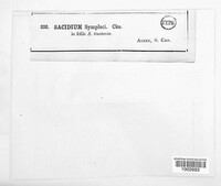 Image Associated With the Occurence